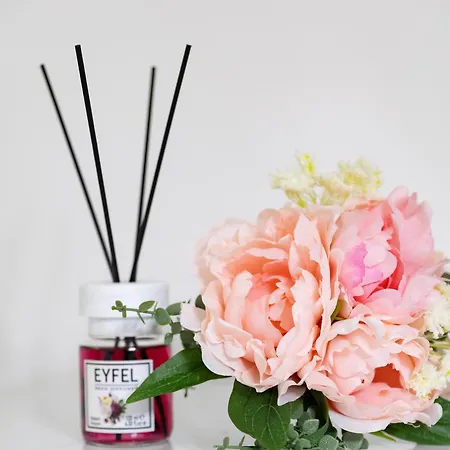 Old Cozy Apartament *