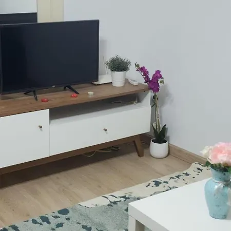 Old Cozy 布加勒斯特